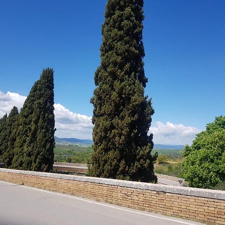 Palazzetto Del Pittore San Quirico d'Orcia Bagian luar foto