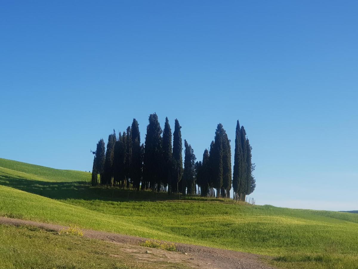 Palazzetto Del Pittore San Quirico d'Orcia Bagian luar foto