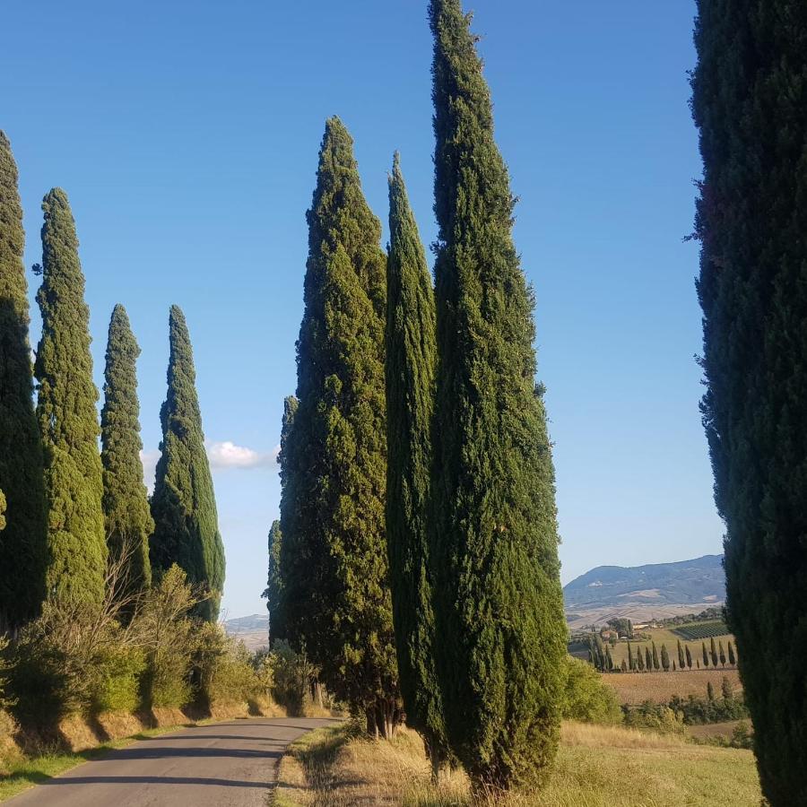 Palazzetto Del Pittore San Quirico d'Orcia Bagian luar foto